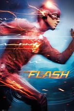 flash s01