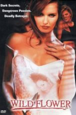 3HC01e9TJvSIxRiYj2PZghkKWT